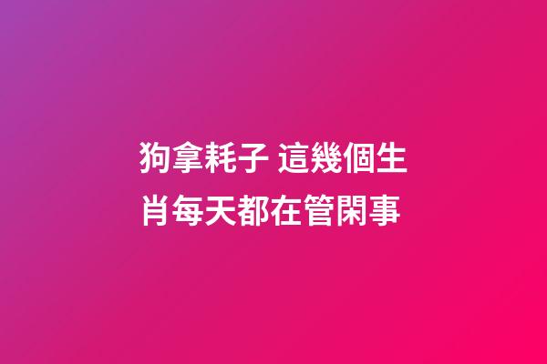 狗拿耗子 這幾個生肖每天都在管閑事